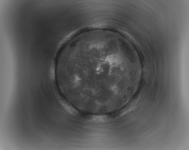 X0000113570446200909181250
