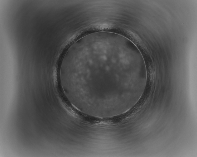 X0000113570447200909181250