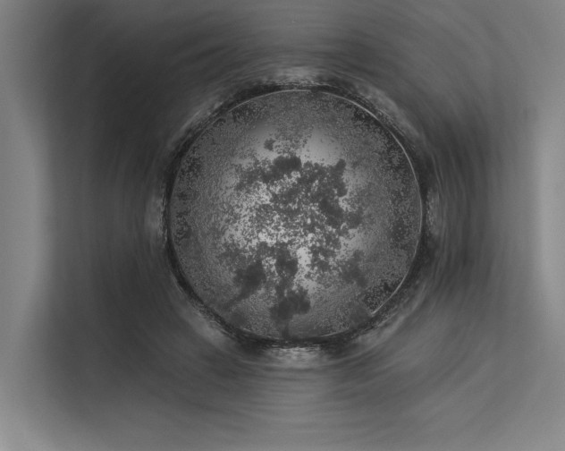 X0000113570449200909181250