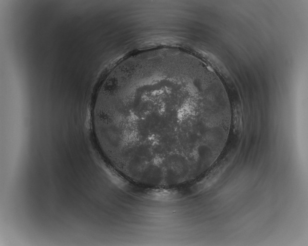 X0000113570453200909181250