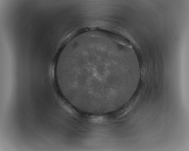 X0000113570454200909181250