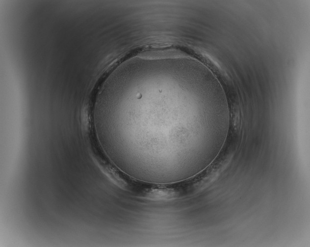 X0000113570455200909181250