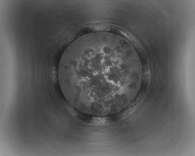 X0000113570469200909181251