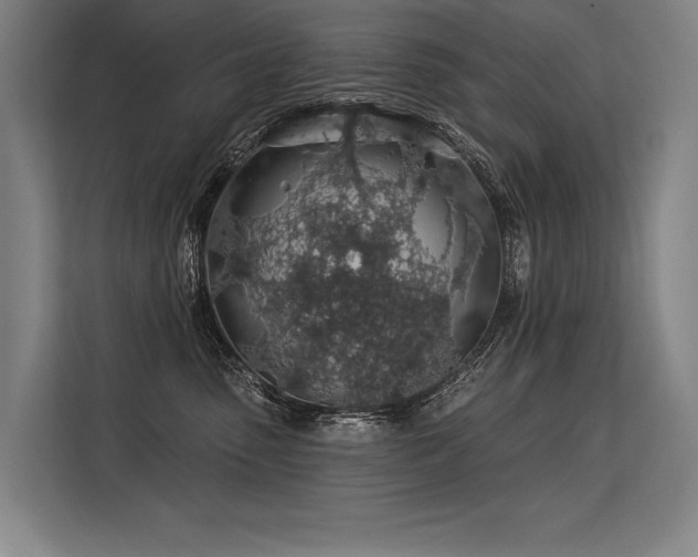 X0000113570475200909181251