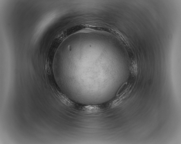 X0000113570477200909181251