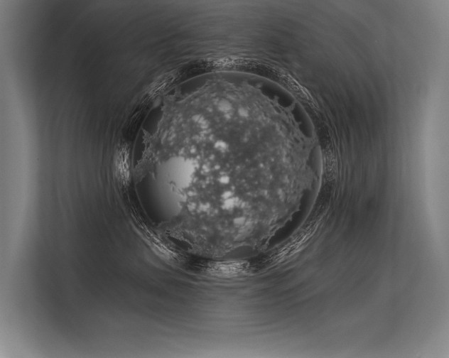 X0000113570479200909181251