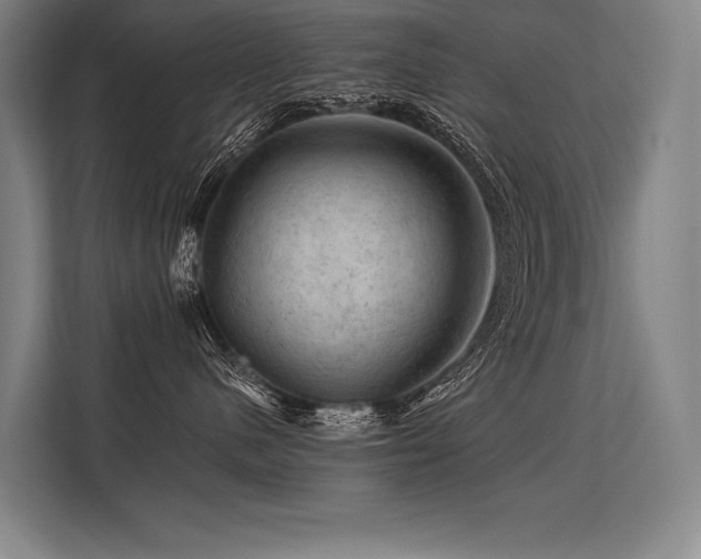 X0000113570480200909181251