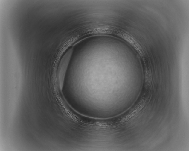 X0000113570481200909181250