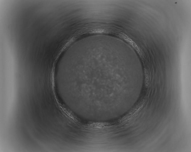 X0000113570482200909181250