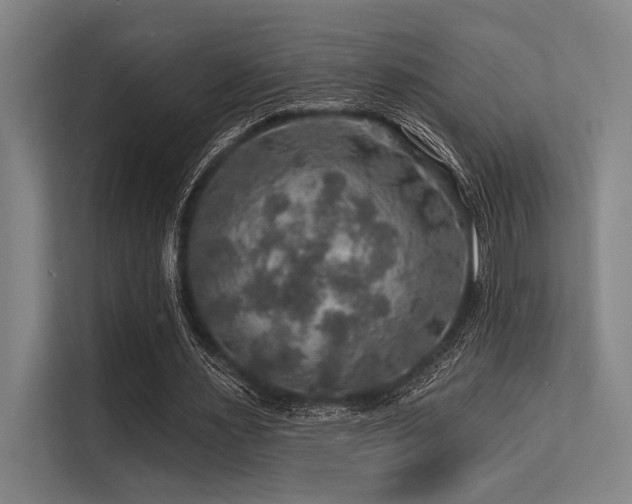 X0000113570483200909181250
