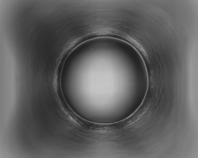 X0000113570485200909181250