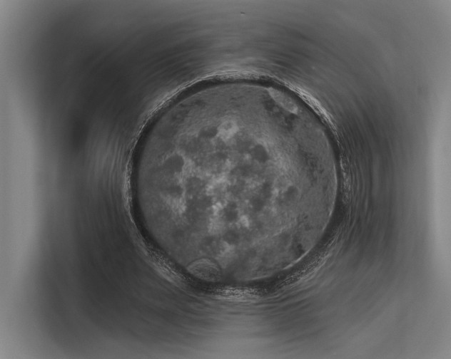 X0000113570487200909181250