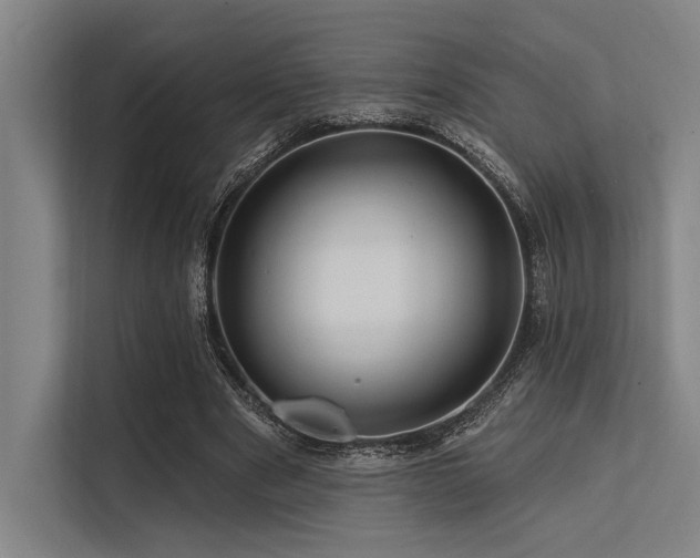 X0000113570489200909181250