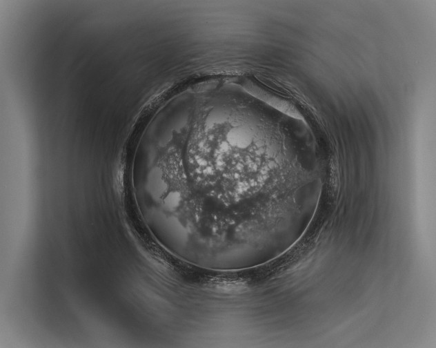 X0000113570491200909181250