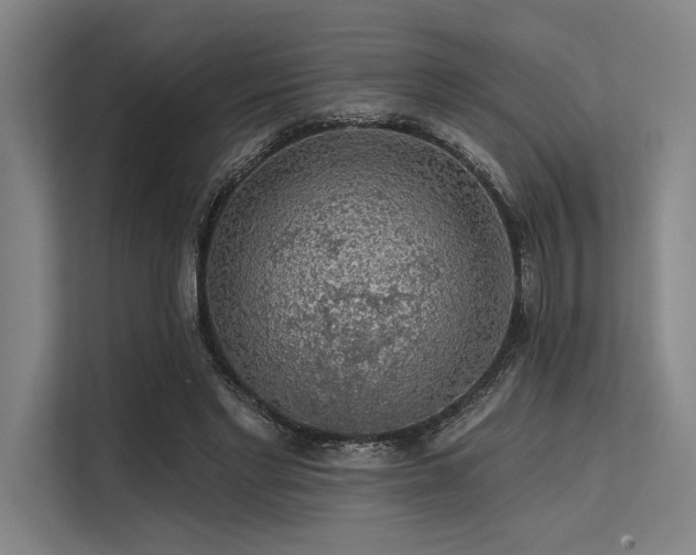 X0000113570493200909181250
