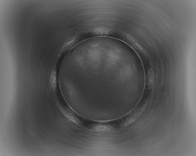 X0000113570494200909181250