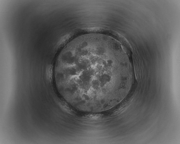 X0000113570495200909181250