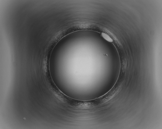 X0000113570497200909181250