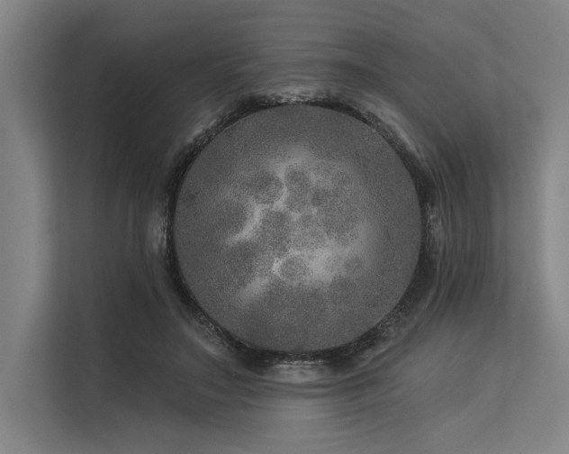 X0000113570499200909181250