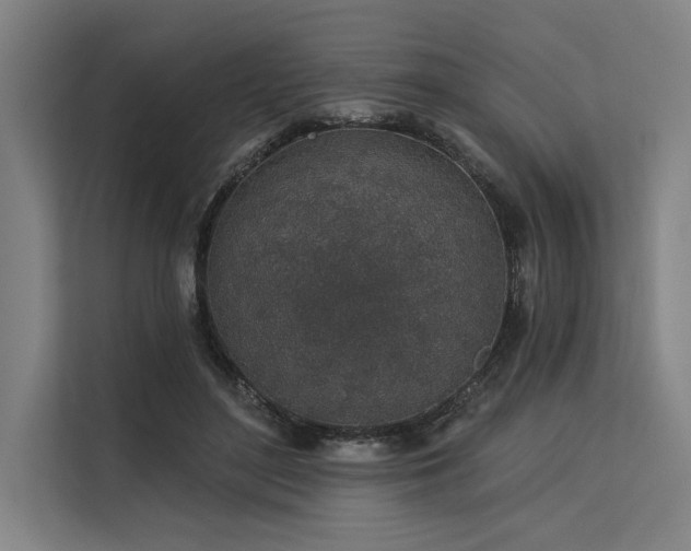 X0000113570500200909181250
