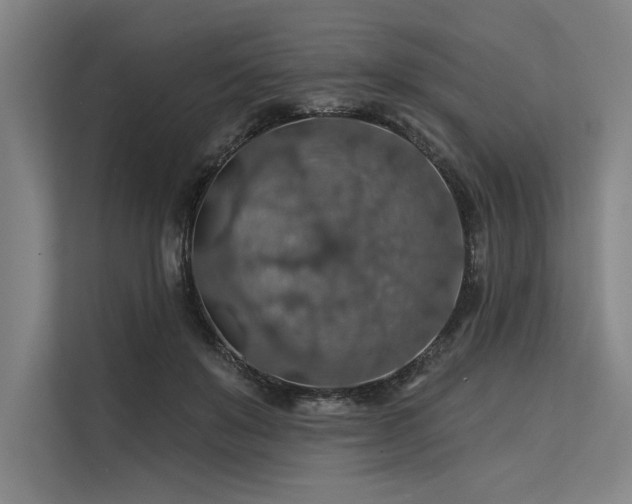 X0000113570503200909181250