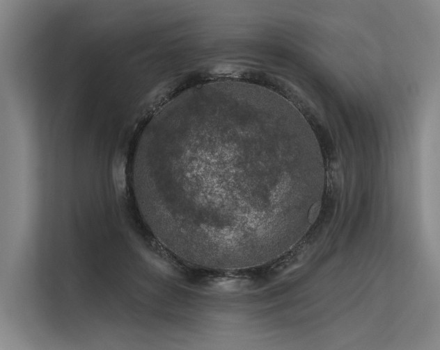 X0000113570504200909181250