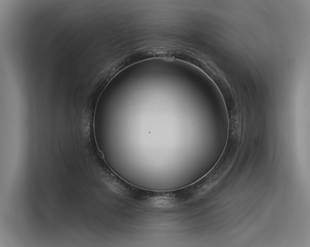 X0000113570505200909181250