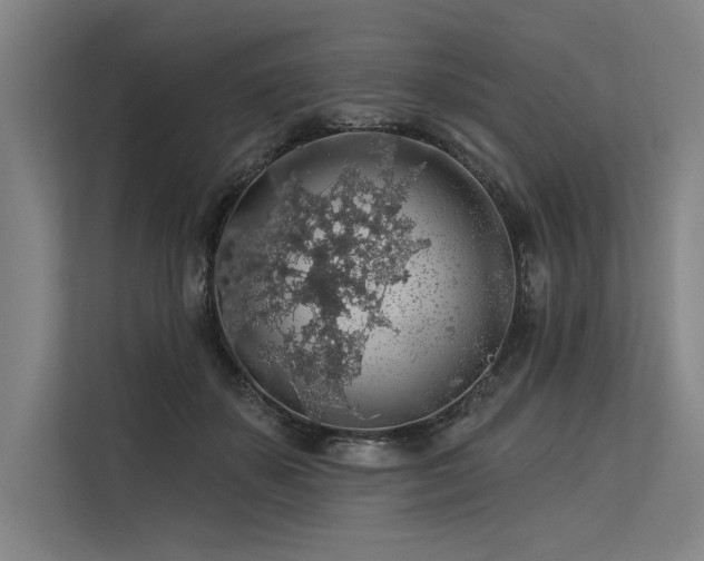 X0000113570507200909181250