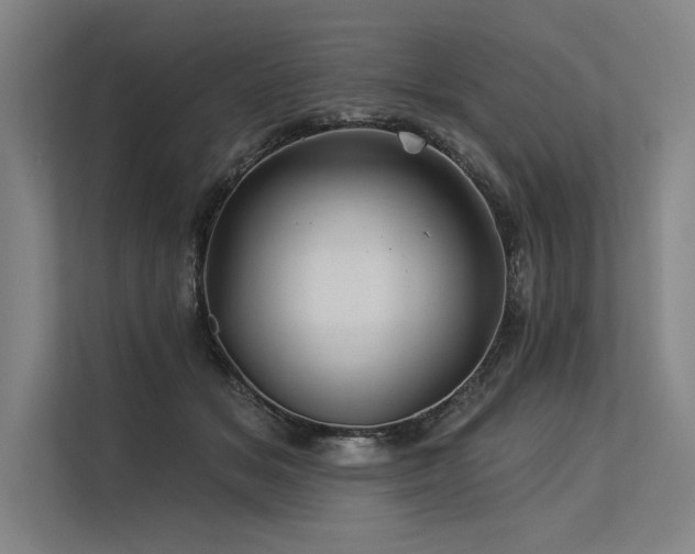 X0000113570509200909181250