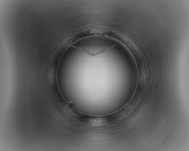 X0000113570513200909181250