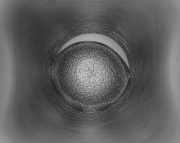 X0000113570520200909181250