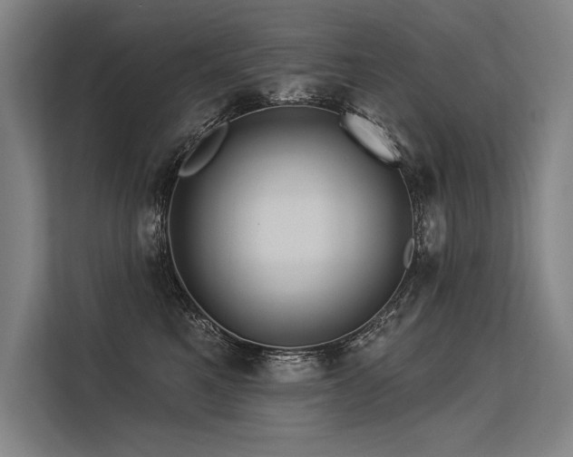 X0000113570521200909181250