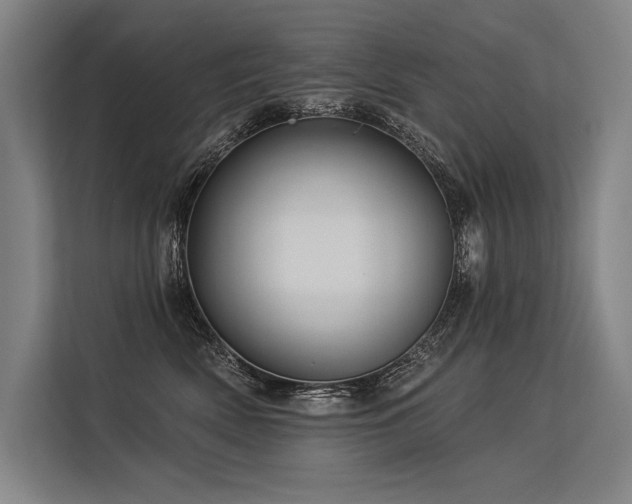 X0000113570522200909181250