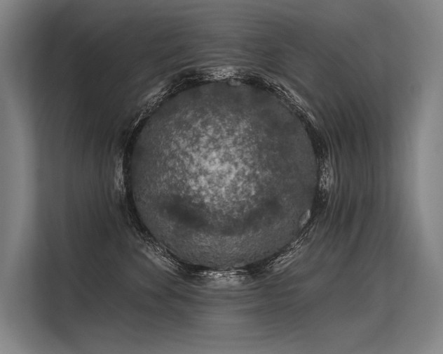 X0000113570524200909181249