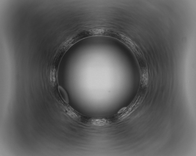 X0000113570525200909181249