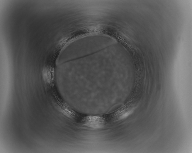 X0000113570528200909181249