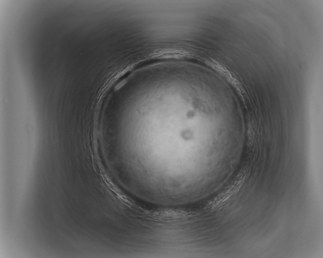 X0000113570529200909181249