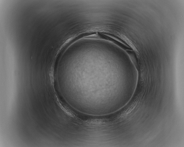 X0000113570530200909181249