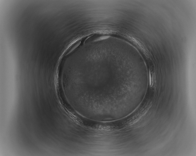 X0000113570531200909181249