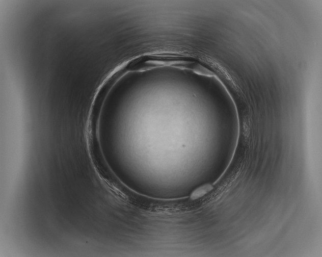 X0000113570532200909181249