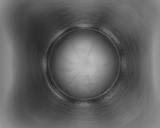 X0000113570533200909181249
