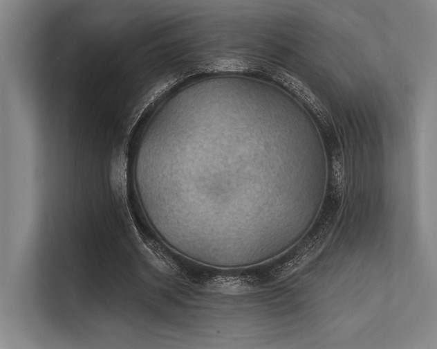 X0000113570534200909181249