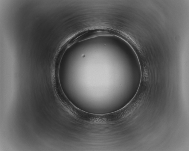 X0000113570535200909181249