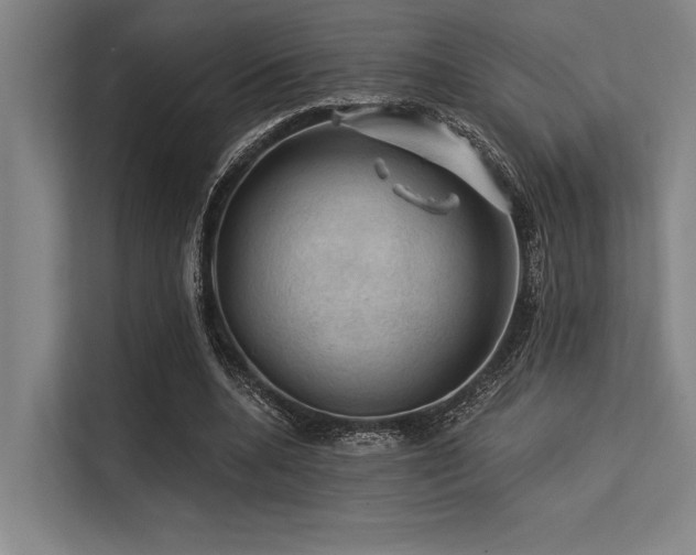 X0000113570536200909181249