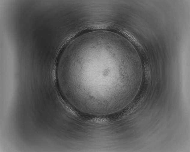 X0000113570537200909181249