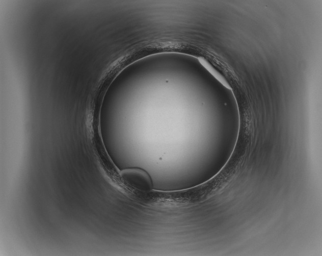 X0000113570538200909181249