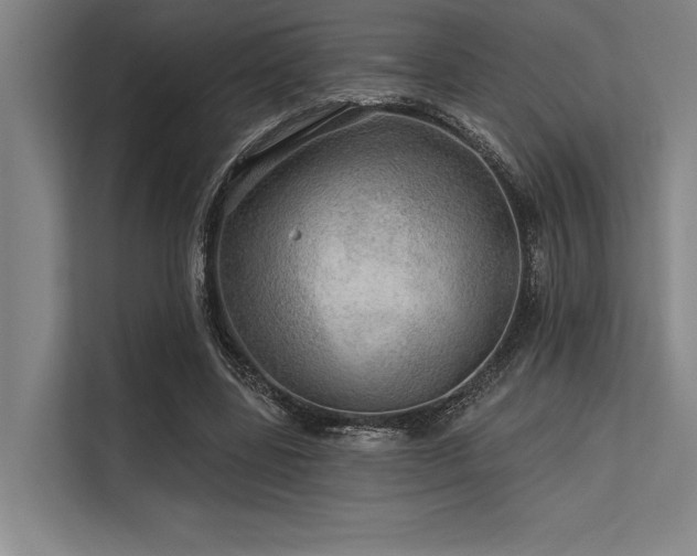 X0000113570539200909181249