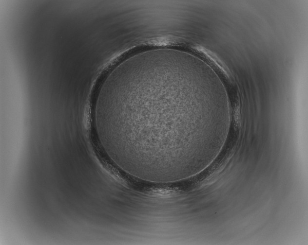 X0000113570540200909181249