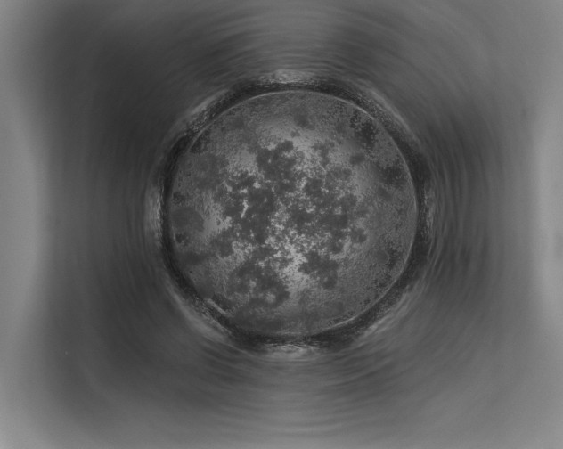 X0000113570542200909181249