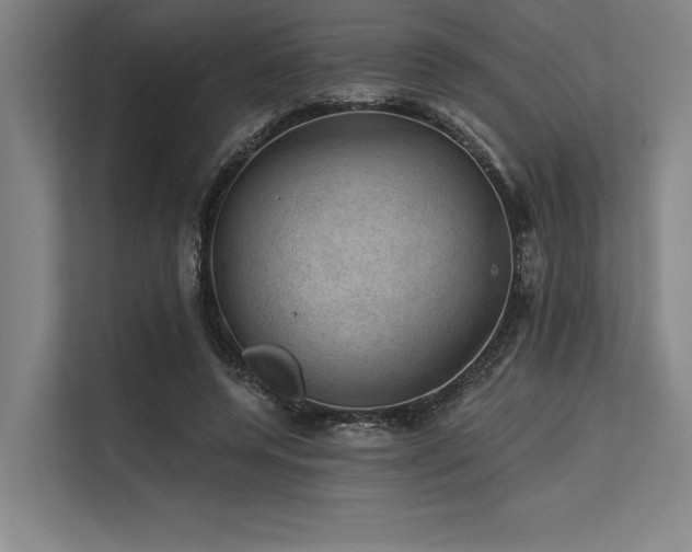 X0000113570544200909181249